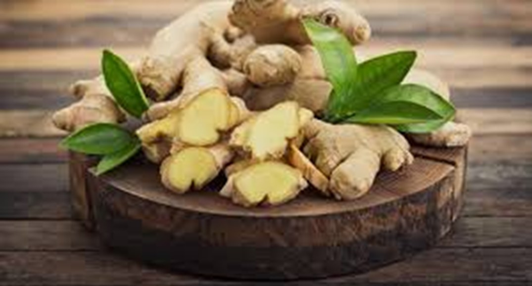 Jahe, Tanaman Herbal Kaya Manfaat yang Disukai Rasulullah